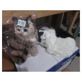 Cats (feels for real)