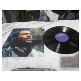Marvin Gaye Vinyl Record