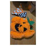 Dog Halloween costume