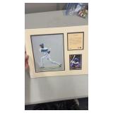 Devon white Toronto blue jays print