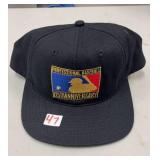 Professional baseball anniversary hat