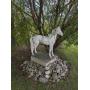 LIVE AUCTION HARROW MAY 16th