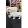 Warehouse Auction June 3rd-10th