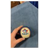 Blue jays baseball