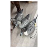 Duck decoys