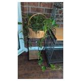 Plant basket