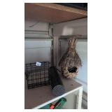 Bird feeders