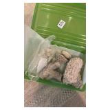 Coral pieces