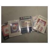 cross stiching kits