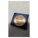 2007-D Sacagawea Native American dollar coin