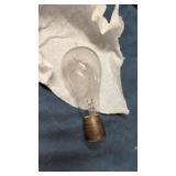 antique carbon-filament incandescent light bulb