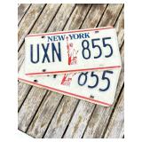 Two New York License Plates