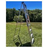 Werner Aluminum 8-Foot Step Ladder, 250lb Capacity