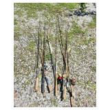 Fishing Rods and Reels