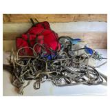 Horse Tack, Bits, and Accessories