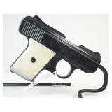 Raven Arms Model MP-25 .25 Caliber Pistol