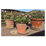 3 Terracotta Planters with Plant Motifs