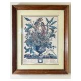 Framed Botanical Flower Prints