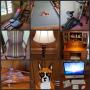 Germantown Estate: Furniture, Nice Home Decor, Exercise Equipment, Pool Table, Books, and MORE