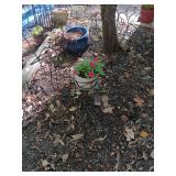 Iron peacock shaped plant holder. 30x34