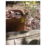 Concrete pot 9.5 X 9.5.