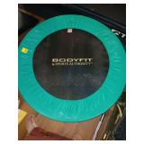 Exercise Rebounder..some  cat damage