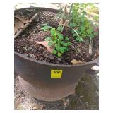 Cast Iron Pot 23x13.5x20