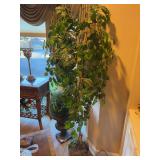 6’ Faux Tree in Brass Planter