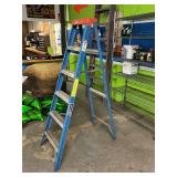 Louisville 6 foot ladder