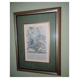 vintage print of 'September' from the Twelve Months of Flowers series, originally engraved by Henry Fletcher based on paintings by Pieter Casteels for nurseryman Robert Furber in 1730. 12' x 16'.