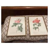 Pair of Pretty Rose Pictures in a 12 1/2“ x 16 1/2“ gold frame