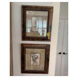 Two gold framed parrot pictures 17 1/2 x 20“