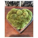 Heart shaped moss decor piece 16” x 15” by 6 inches
