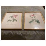 Pair of Pretty Rose Pictures in a 13 1/2 “x 16 1/2”  gold frame