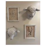 Two white framed floral pictures 11” x 14”