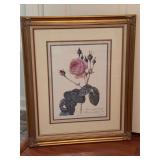Beautifully framed botanical print titled 'Rosa Centifolia Bullata' based on the work of famous illustrator Pierre-Joseph Redouté…..19-3/4 x 23-3/4