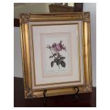 Beautifully framed botanical print titled 'Rosa Centifolia Foliacea' based on the work of famous illustrator Pierre-Joseph Redouté…..11-1/2 x 13-1/2