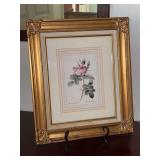 Beautifully framed botanical print titled 'Rosa Bifera Officinalis' based on the work of famous illustrator Pierre-Joseph Redouté…..11-1/2 x 13-1/2