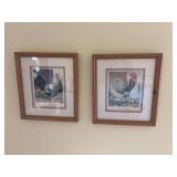 Two 14 x 16” rooster pictures