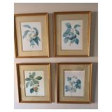Grouping of four 13 1/2 x 16 1/2 fruit gold framed pictures
