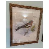 16 x 20“ framed picture of a Chaffinch