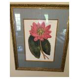 ￼ Water Lily portrait 17 1/2” x 21 1/2”