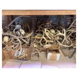 Grouping of antlers of all sizes and shapes