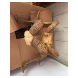 (2) ram sheds with skull cap