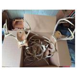 Box of antlers - some sing sheds, some with skull caps, some mounted