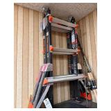 Little Giant Dark Horse Ladder