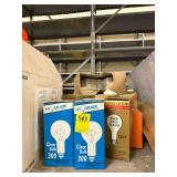 Lot of Mixed Light Bulbs