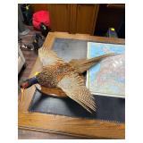 Pheasant Taxidermy Mount w/ Wooden Wall Plaque