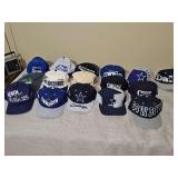 Grouping of caps. Two vintage Memphis State tigers, woods at Pickwick, heaven reservations, road cap, and 12 Dallas cowboy caps.