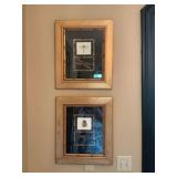 Beautifully gold framed moth and dragonfly photos 16 1/2” x 19 1/2”